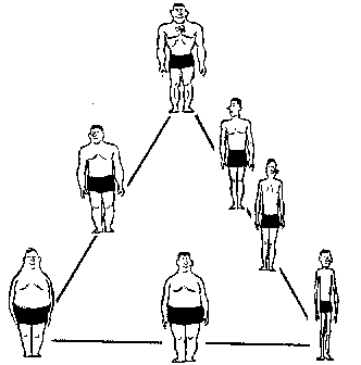 body types pictures