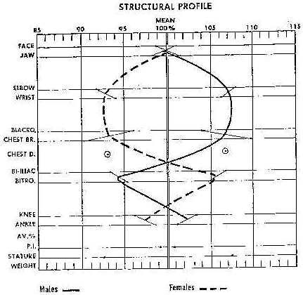 wpe2.jpg (29401 bytes)